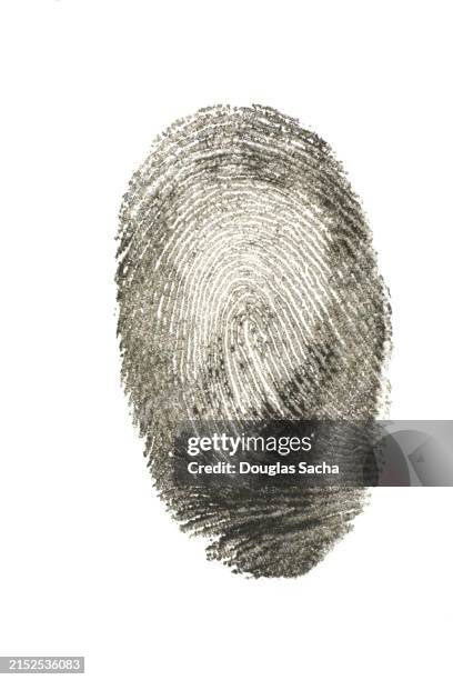 fine details in a ink fingerprint - fingerprint scanner stock pictures, royalty-free photos & images