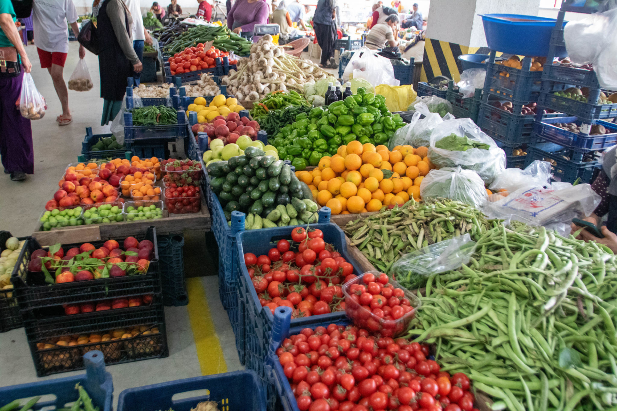muğla farmers market