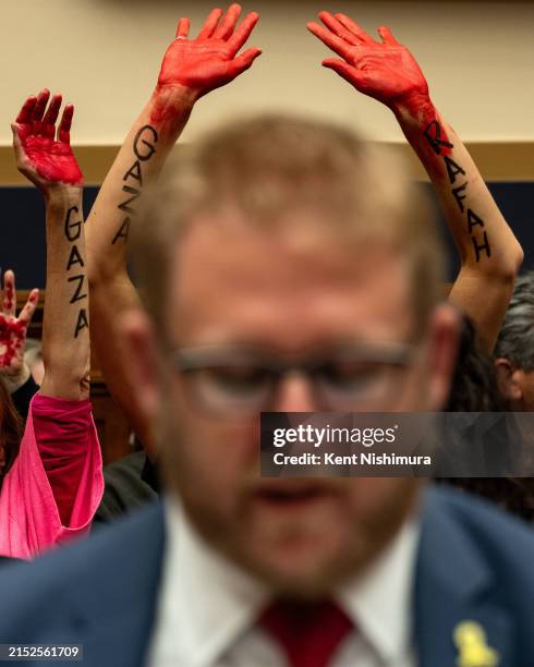 Demonstrators in support of Gaza raise their hands as witness Kevin Rachlin, Washington director of the Nexus Leadership Project speaks during a...