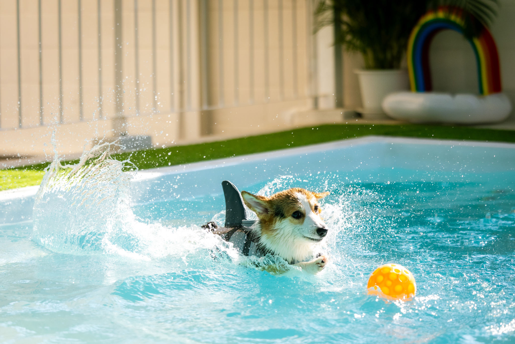 pool safety equipment