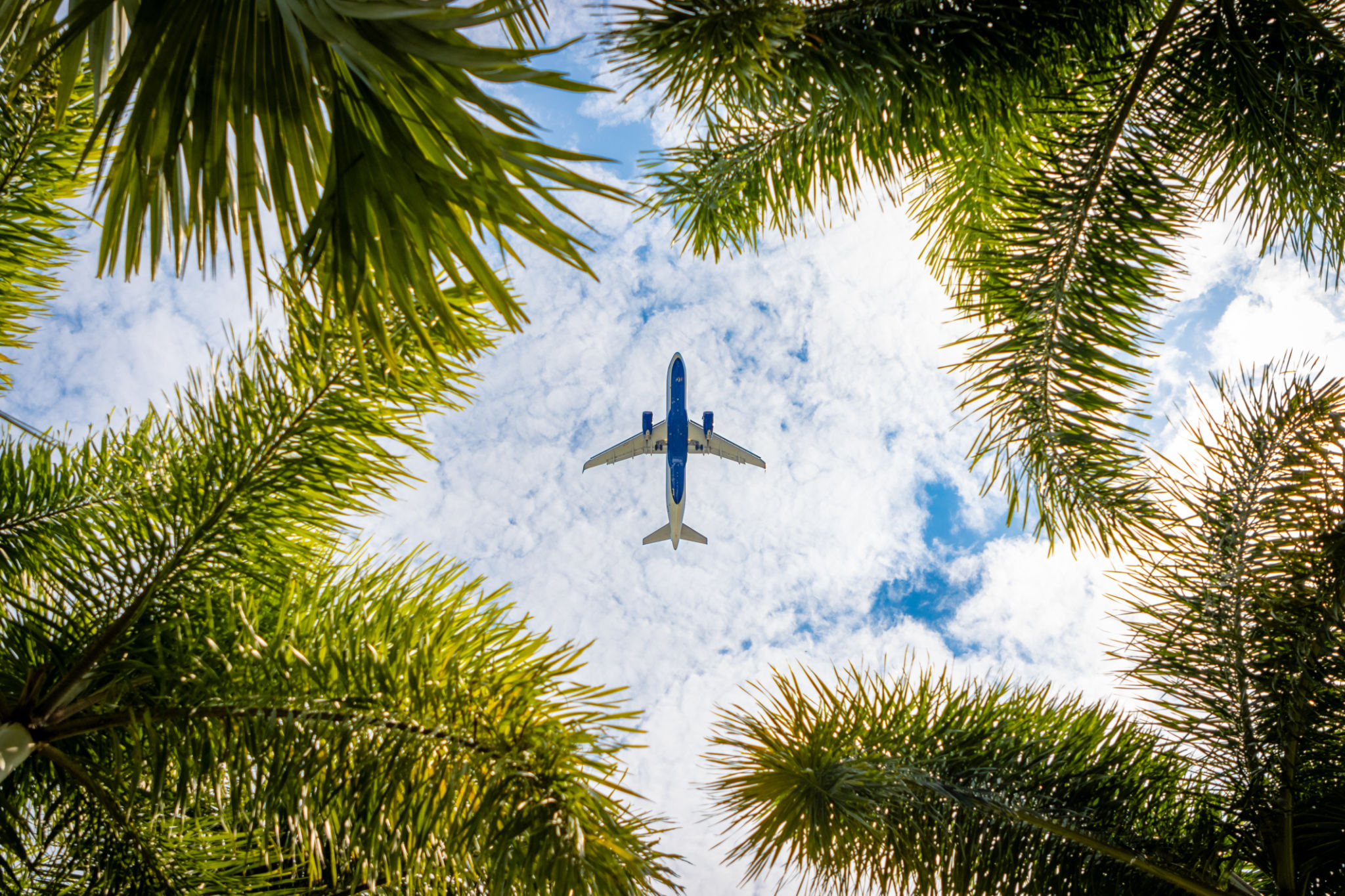 caribbean aviation