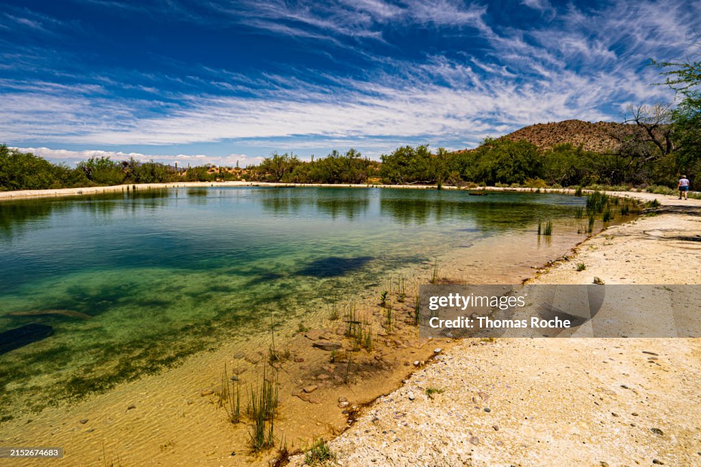 A view of Quitobaquito Springs in Organ Pipe Cactus NM
