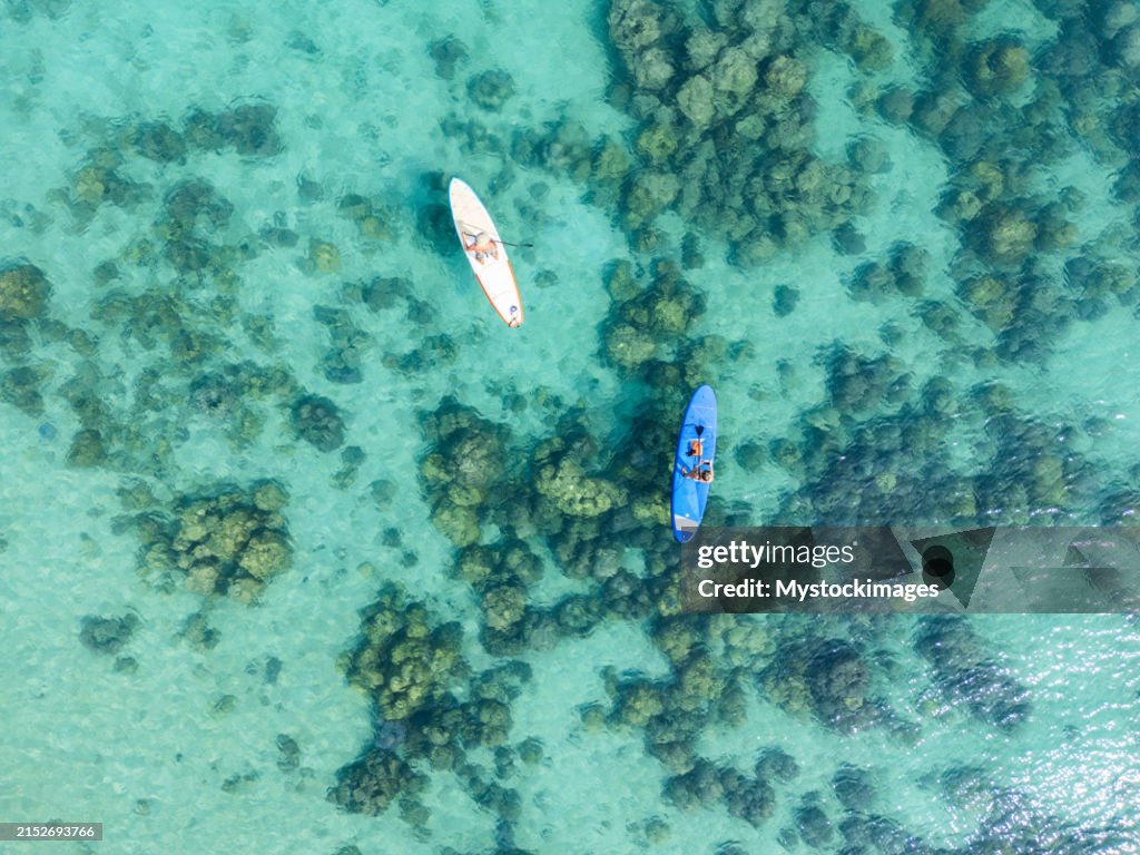 Paddleboard-Duo über Korallenriff