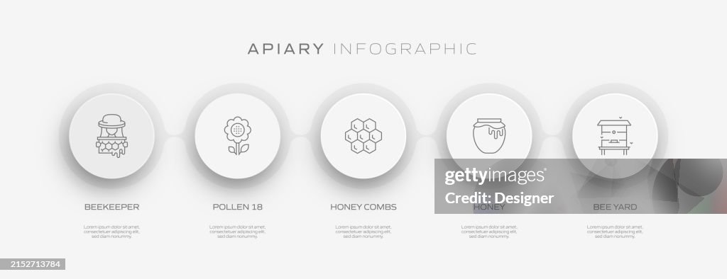 Apiary Related Process Infographic Template Process Timeline Chart ...