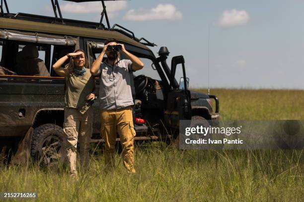 let's go to that part of wildlife reserve! - safari car stock pictures, royalty-free photos & images