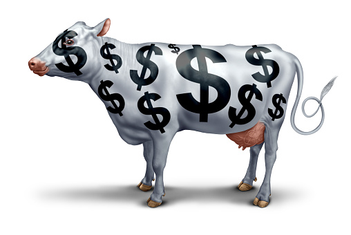 COWZ June Reconstitution: 29 Substitutions Reshape Billion Cash Cows ETF (BATS:COWZ) COWZ June Reconstitution: 29 Substitutions Reshape Billion Cash Cows ETF (BATS:COWZ)