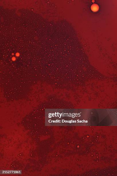 full-frame of spilled bright red blood - mass murder stock pictures, royalty-free photos & images