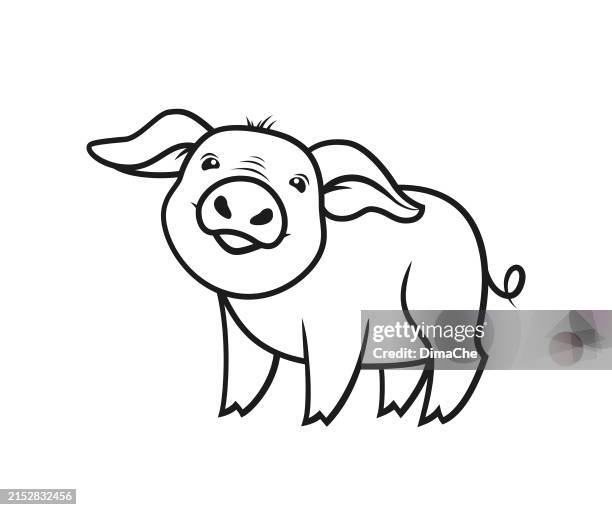 niedliche schwein ferkel umriss silhouette - haarzopf stock-grafiken, -clipart, -cartoons und -symbole
