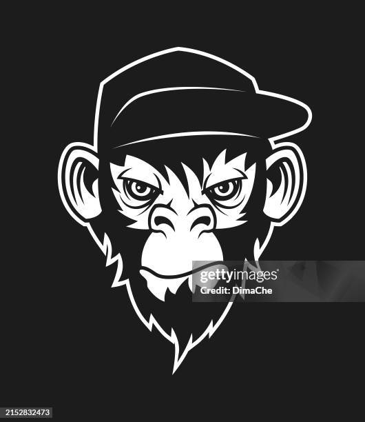 189 Rapper Che Stock Photos, High-Res Pictures, and Images - Getty Images