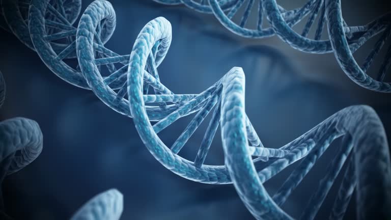 Dna Rotating Model 969 Double Helix Structure Of Dna Stock Videos, Footage, & 4K Video ...