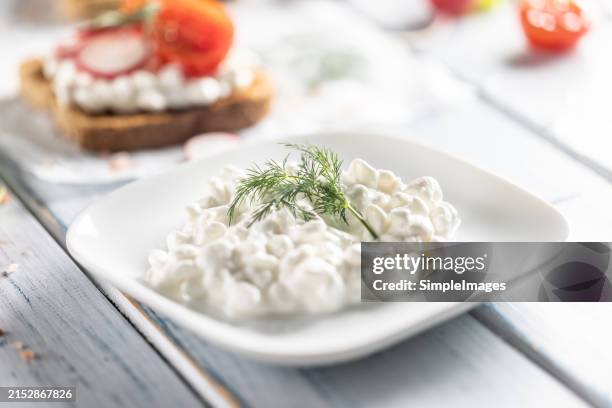 cottage cheese in a white bowl with dill and toasted breads with radish and cherry tomatoes in the background. - cottage cheese stock pictures, royalty-free photos & images