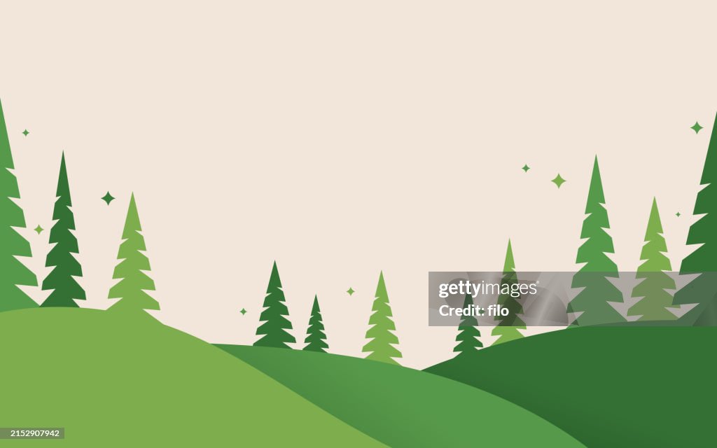 Forest Evergreen Pine Tree Landscape Background