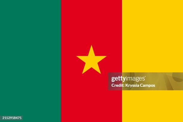 flag of cameroon - cameroon flag stock pictures, royalty-free photos & images