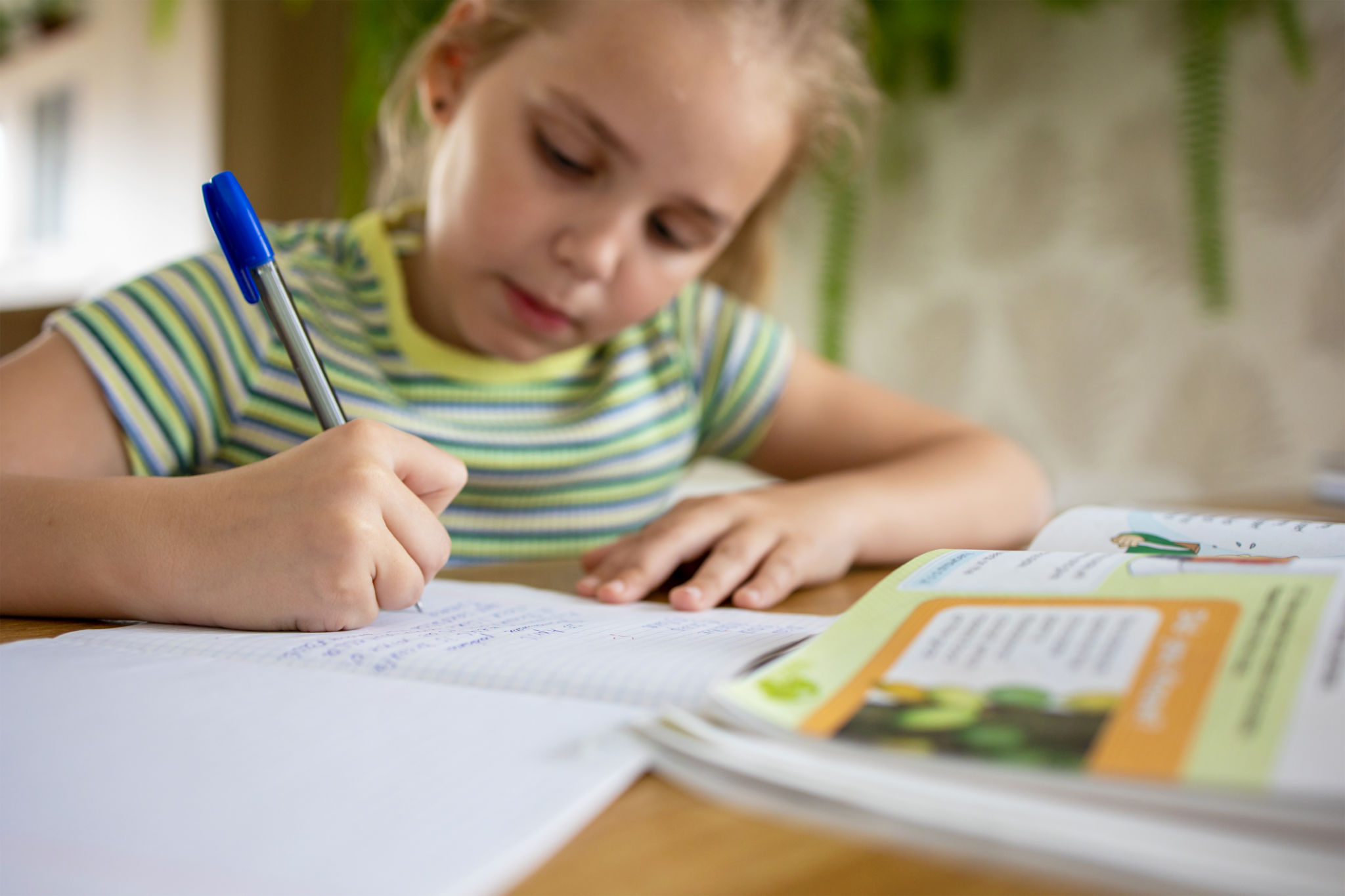 homeschooling