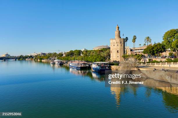 landscape of seville with the guadalquivir and the torre del oro - rio guadalquivir imagens e fotografias de stock