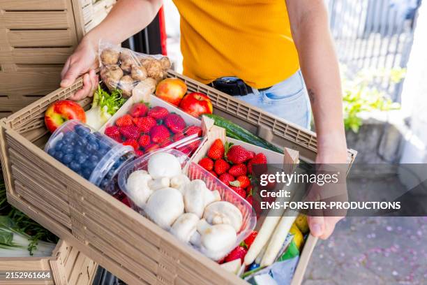 close up of a plastic box full with rescued food - ready for delivery - banco alimentar imagens e fotografias de stock