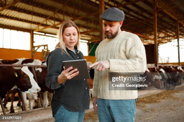modern farming in action - boerderijdieren stockfoto's en -beelden
