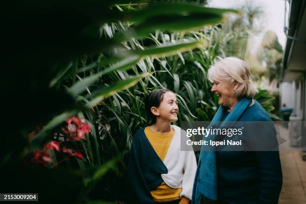 grandmother and granddaughter in backyard - grandmother stock pictures, royalty-free photos & images