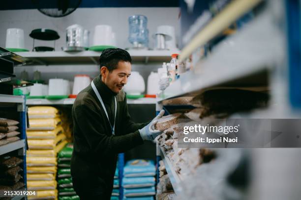 Restocking Goods 516 Restocking Stock Photos, High-Res Pictures, and Images - Getty Images