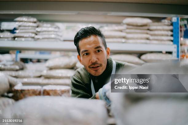 man working in shop restocking retail display - grocery store worker restocking shelves stock pictures, royalty-free photos & images