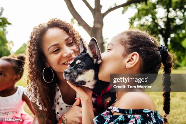 family enjoying time with pet dog - family with pet stock pictures, royalty-free photos & images