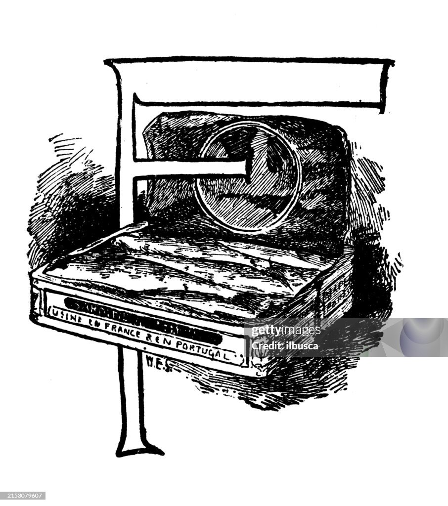 Antique image: Ornate Letter F