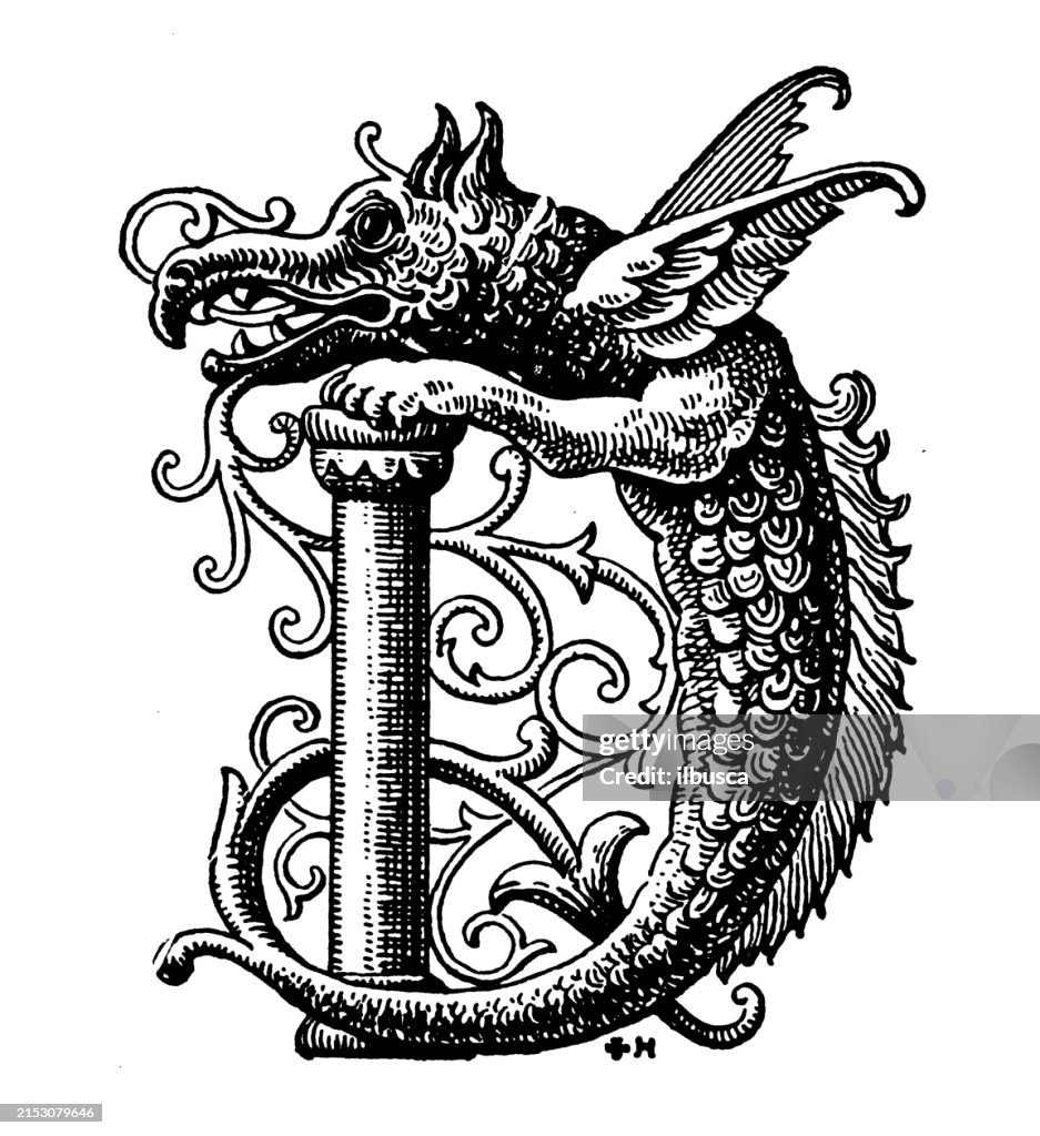Antique image: Ornate Letter D