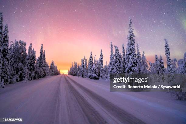 northern lights over a snowy road in the icy forest - tundra stock-fotos und bilder