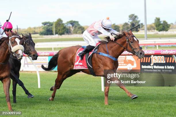 Prince Of Sepang ridden by Winona Costin wins the Fantasy Cocktails 4YO+ Maiden Plate at Sale Racecourse on May 19, 2024 in Sale, Australia.
