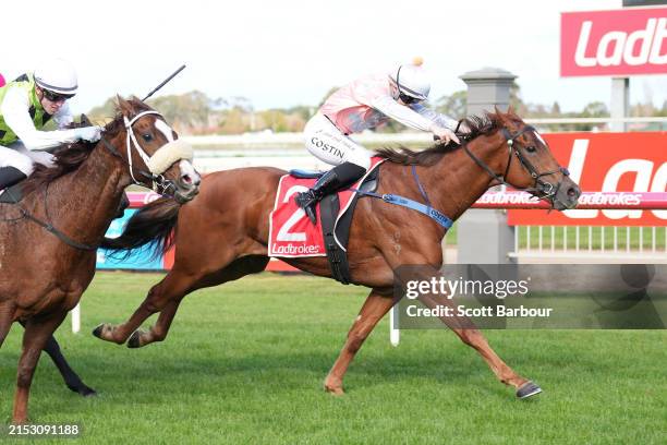 Prince Of Sepang ridden by Winona Costin wins the Fantasy Cocktails 4YO+ Maiden Plate at Sale Racecourse on May 19, 2024 in Sale, Australia.
