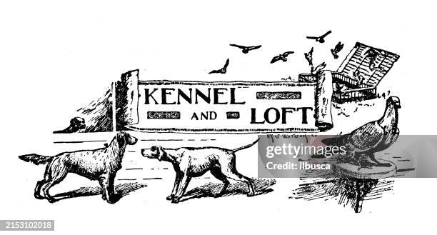 antique image: kennel and loft - loft style stock illustrations