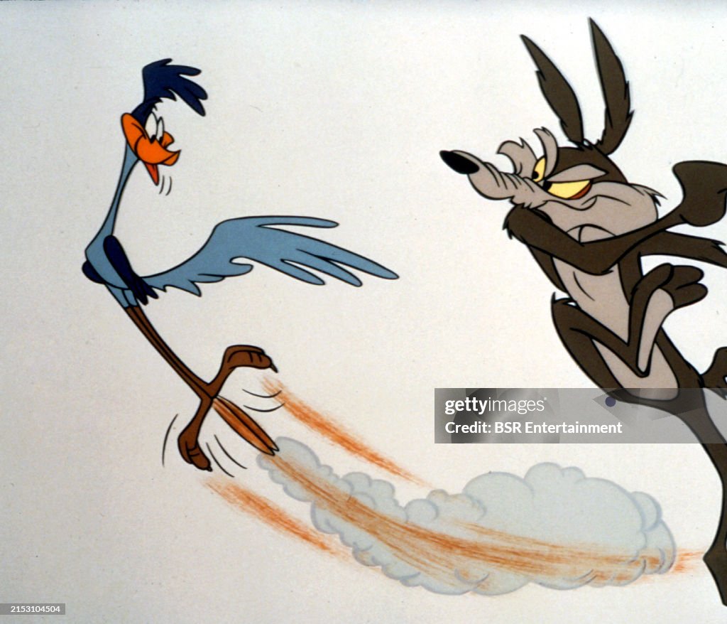 Roadrunner of the Looney Tunes...