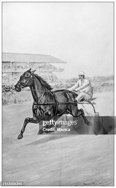 antique image: racing horse, harness racing - harness racing stock illustrations