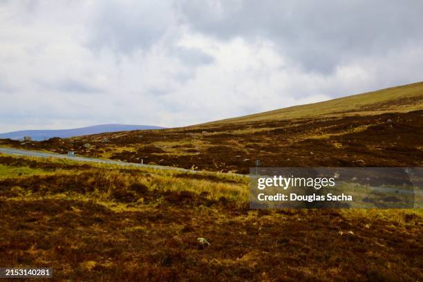 peat landscape on the rolling hills - peat bogs ireland stock pictures, royalty-free photos & images