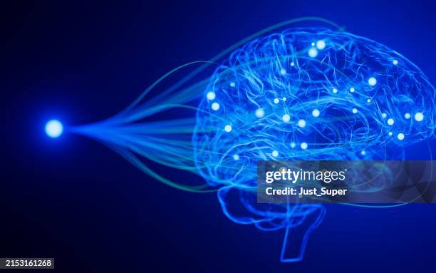 neural network nodes deep learning artificial intelligence machine learning model - neurotechnology stock pictures, royalty-free photos & images