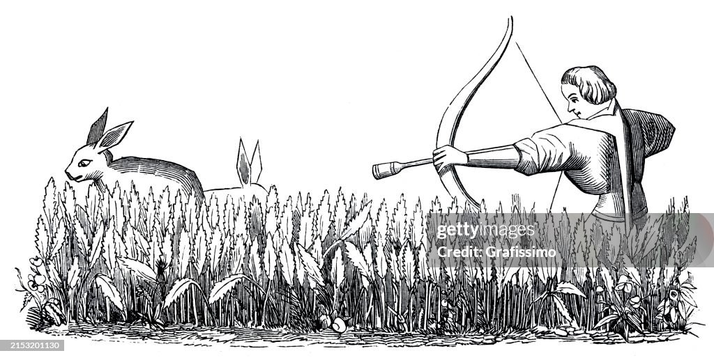 Man Hunting Rabbits With Bow And Arrow 14th Century High-Res Vector ...