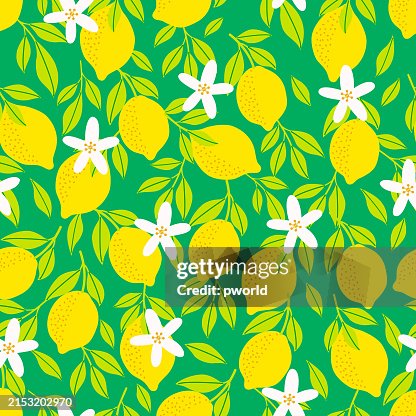 Lemon seamless pattern . Lemon seamless pattern .