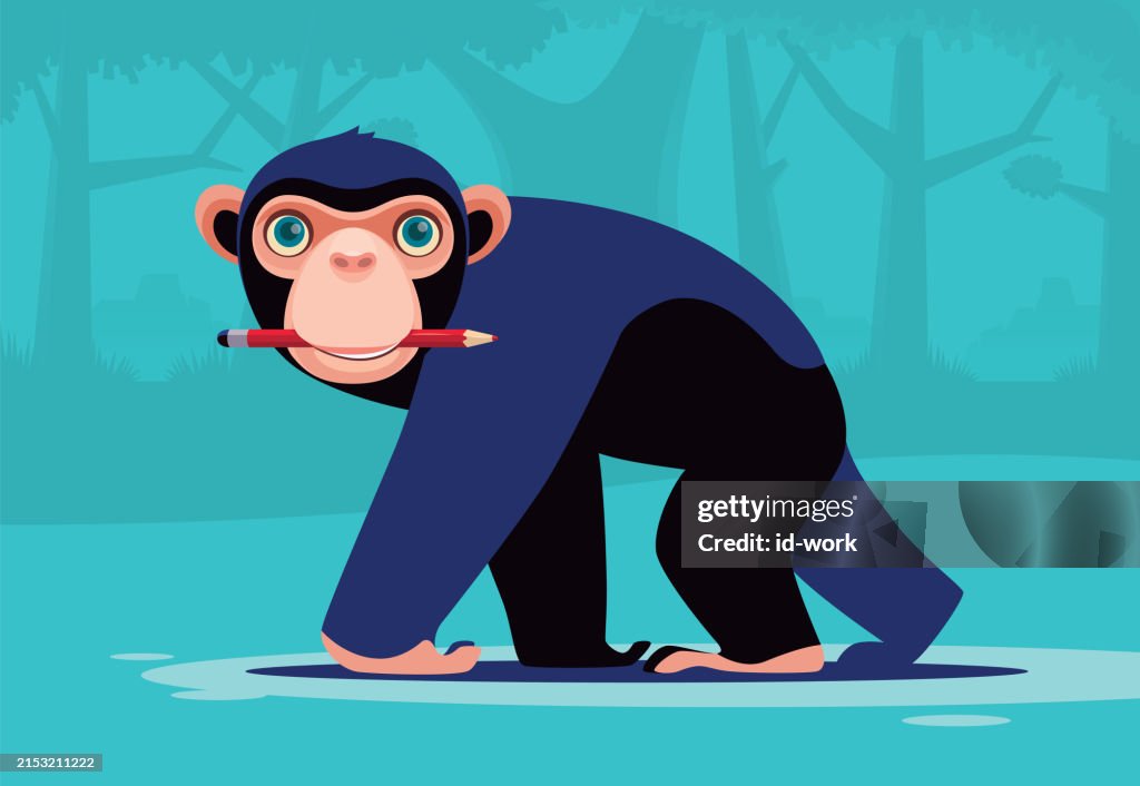 Chimpanzee biting pencil and walking