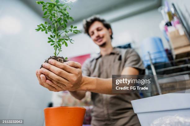 young man planting a flower plant at flower shop - green thumb stock pictures, royalty-free photos & images