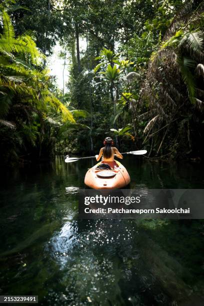 paddle in transperant - krabi stock pictures, royalty-free photos & images