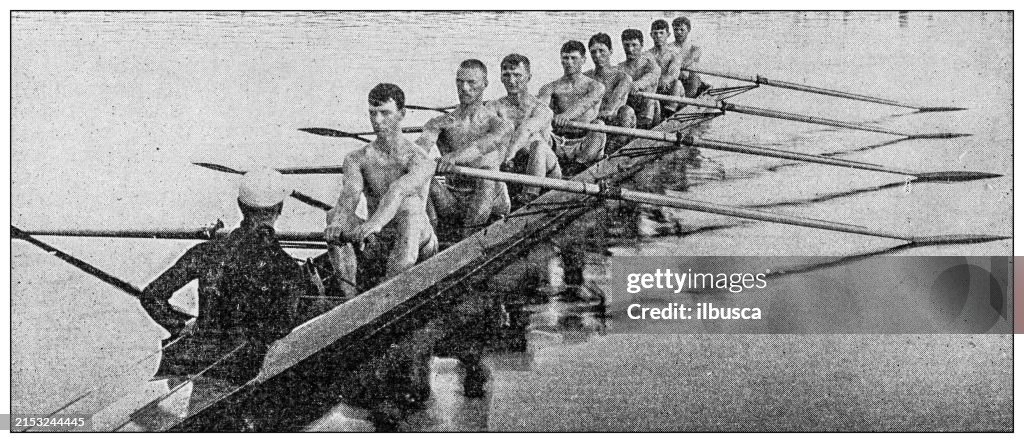 Antique Image Harvard Rowing Crew 1893 High-Res Vector Graphic - Getty ...