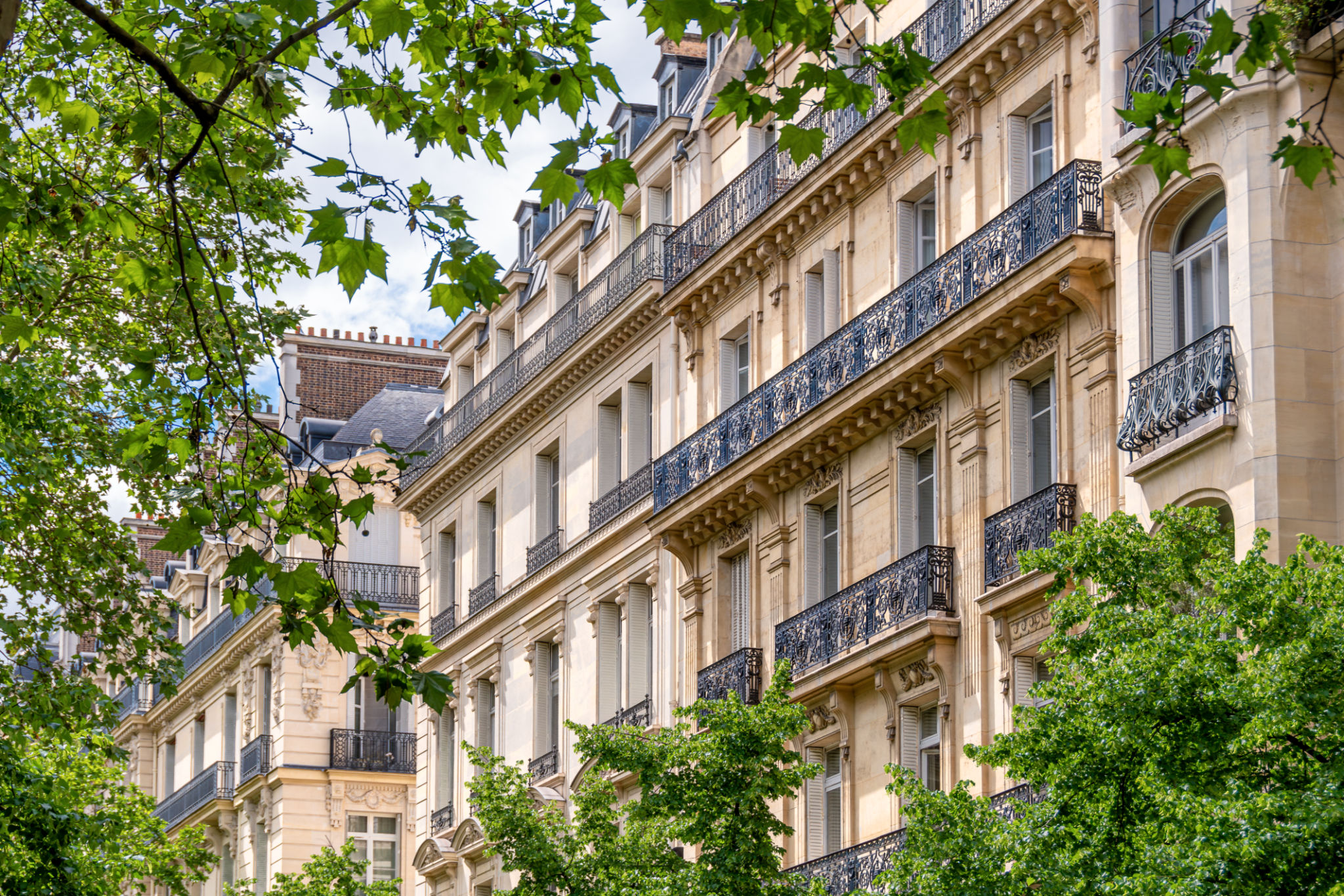 paris real estate