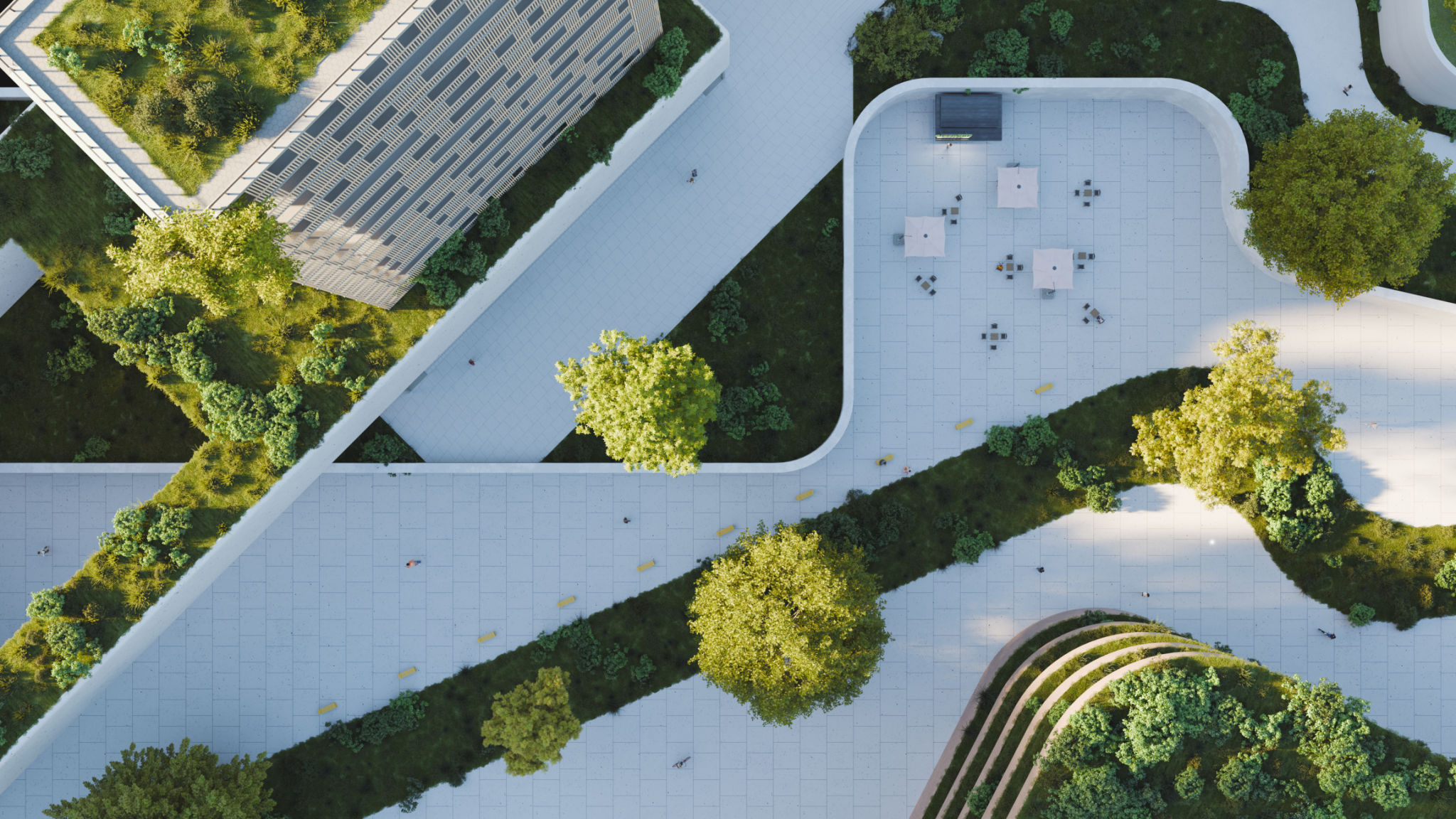 green roof urban
