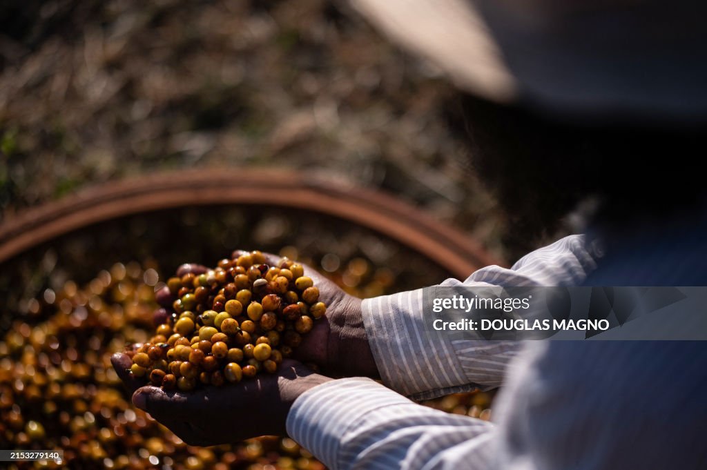 BRAZIL-AGRICULTURE-COFFEE