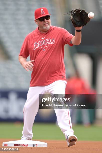 Tim Buss 59 Tim Buss Stock Photos, High-Res Pictures, and Images - Getty Images