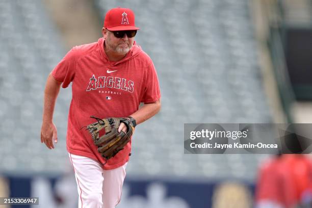 Tim Buss 59 Tim Buss Stock Photos, High-Res Pictures, and Images - Getty Images