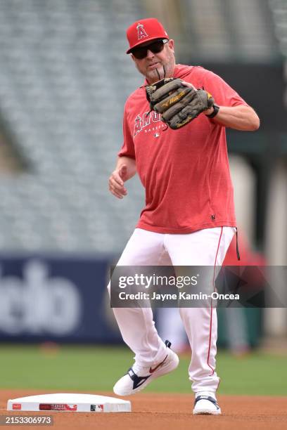 Tim Buss 59 Tim Buss Stock Photos, High-Res Pictures, and Images - Getty Images