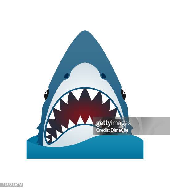 shark with an open toothy mouth in the waves - shark stock illustrations