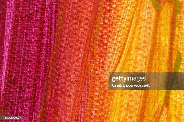 red and yellow art paint background. - mixed media artist stock pictures, royalty-free photos & images