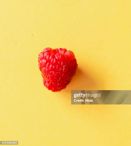 Pink Raspberry Amd Yellow Yellow Raspberry Photos and Premium High Res Pictures - Getty Images